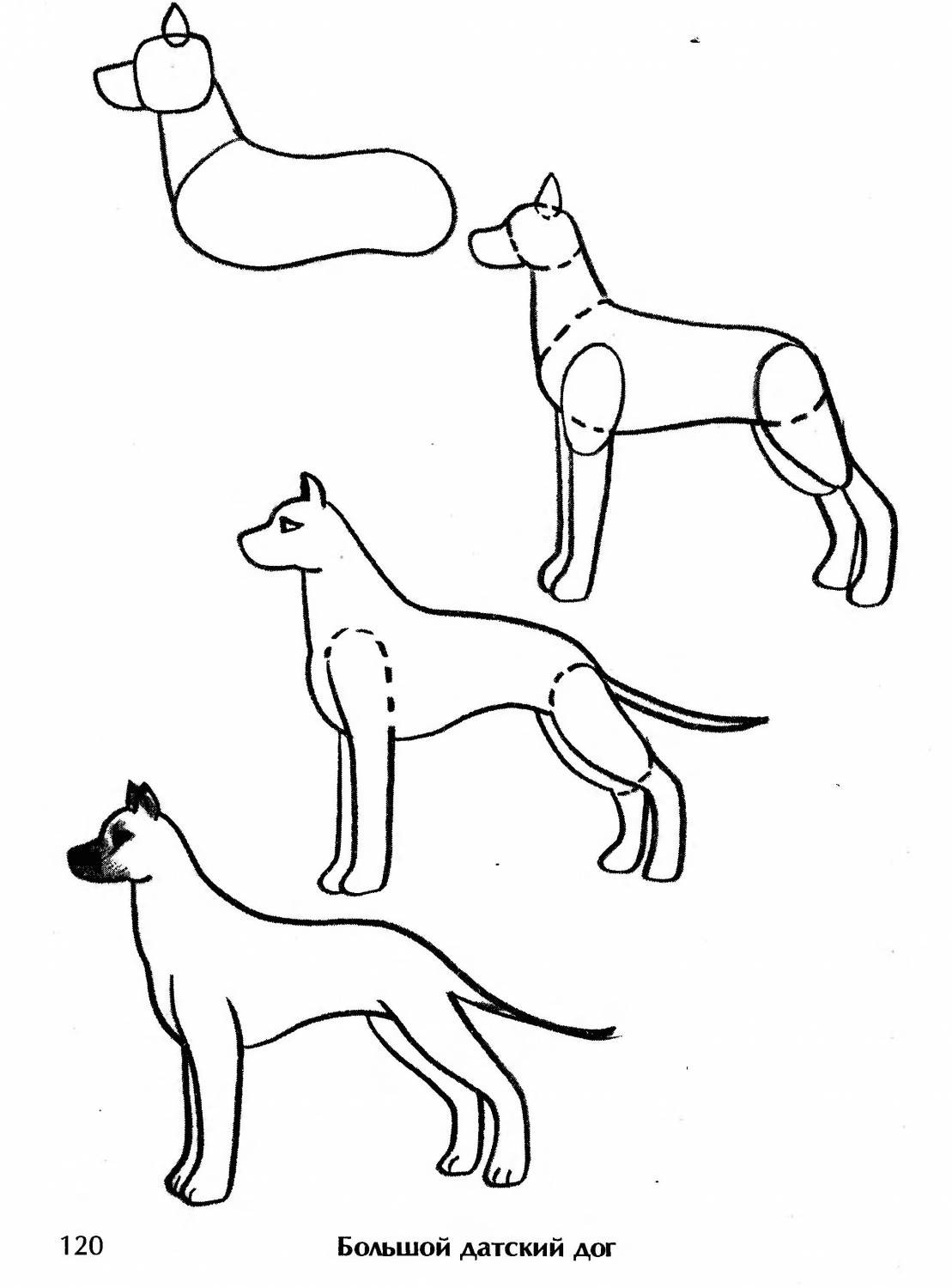 Нарисовать собаку для детей 1 класс
