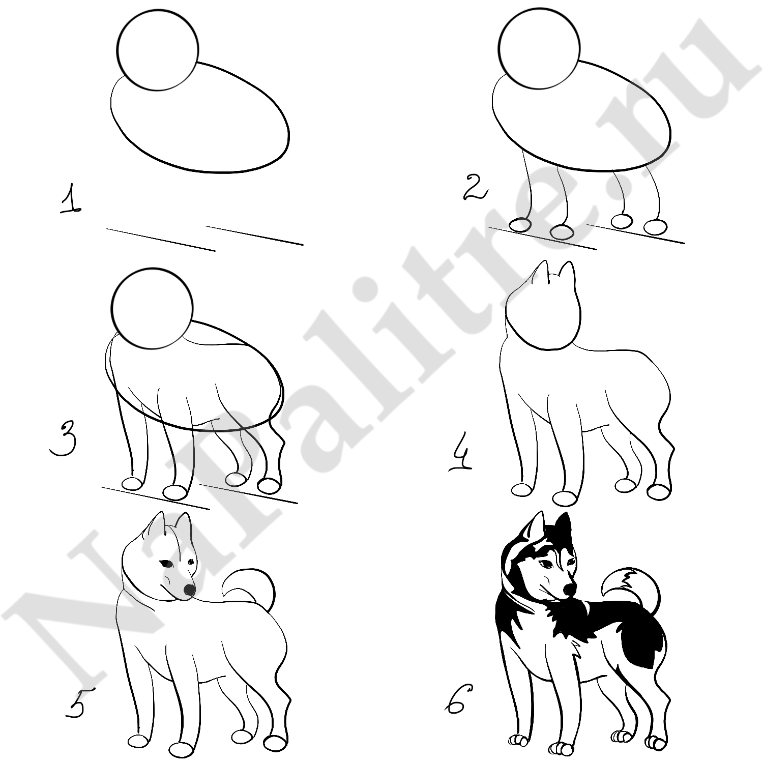 Схема собаки рисунок. Схема рисования собаки для детей. Лёгкие рисунки собак. Рисунки карандашом собаки для начинающих. Рисунки собак для срисовки лёгкие.