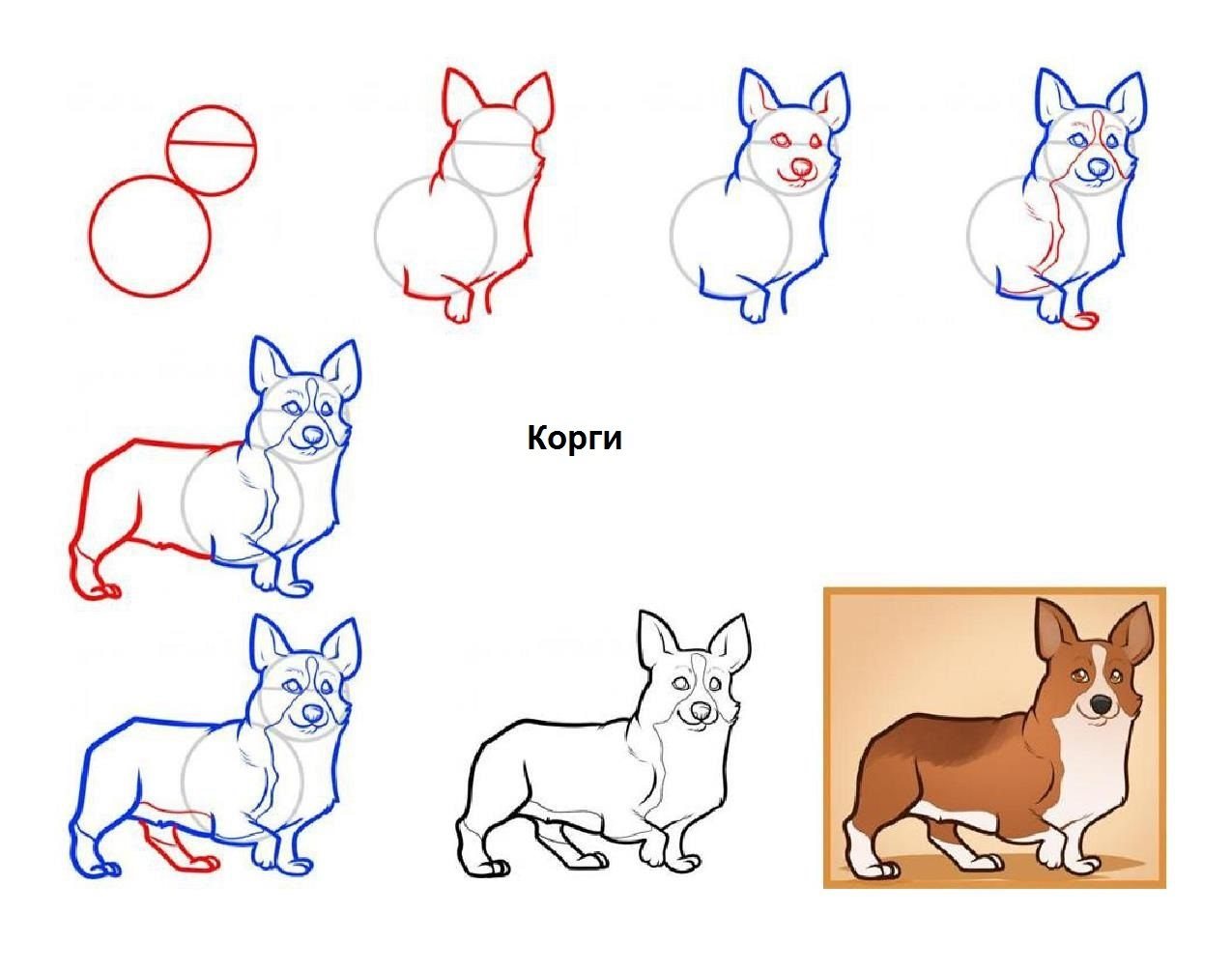 Схема рисования собаки для детей