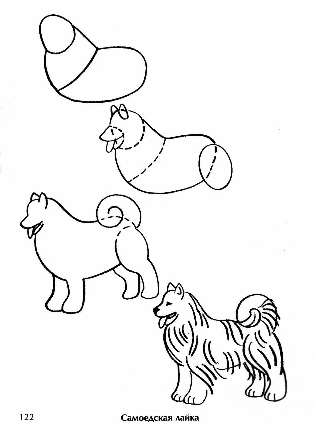 Рисуем собаку с детьми. Собака для рисования для детей. Схема рисования собаки для дошкольников. Собака рисунок карандашом для детей легкие. Собака рисунок для детей легкий.