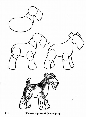 Схема рисования собаки для детей