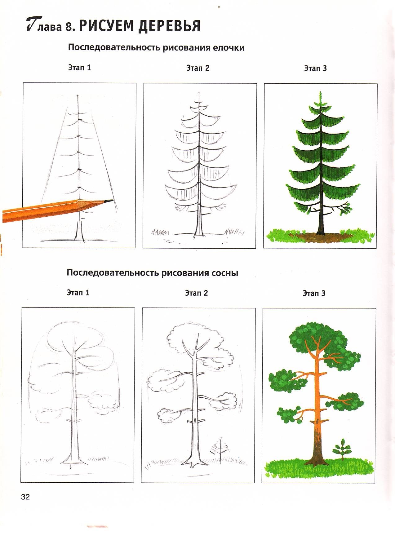Учусь рисовать деревья карандашом