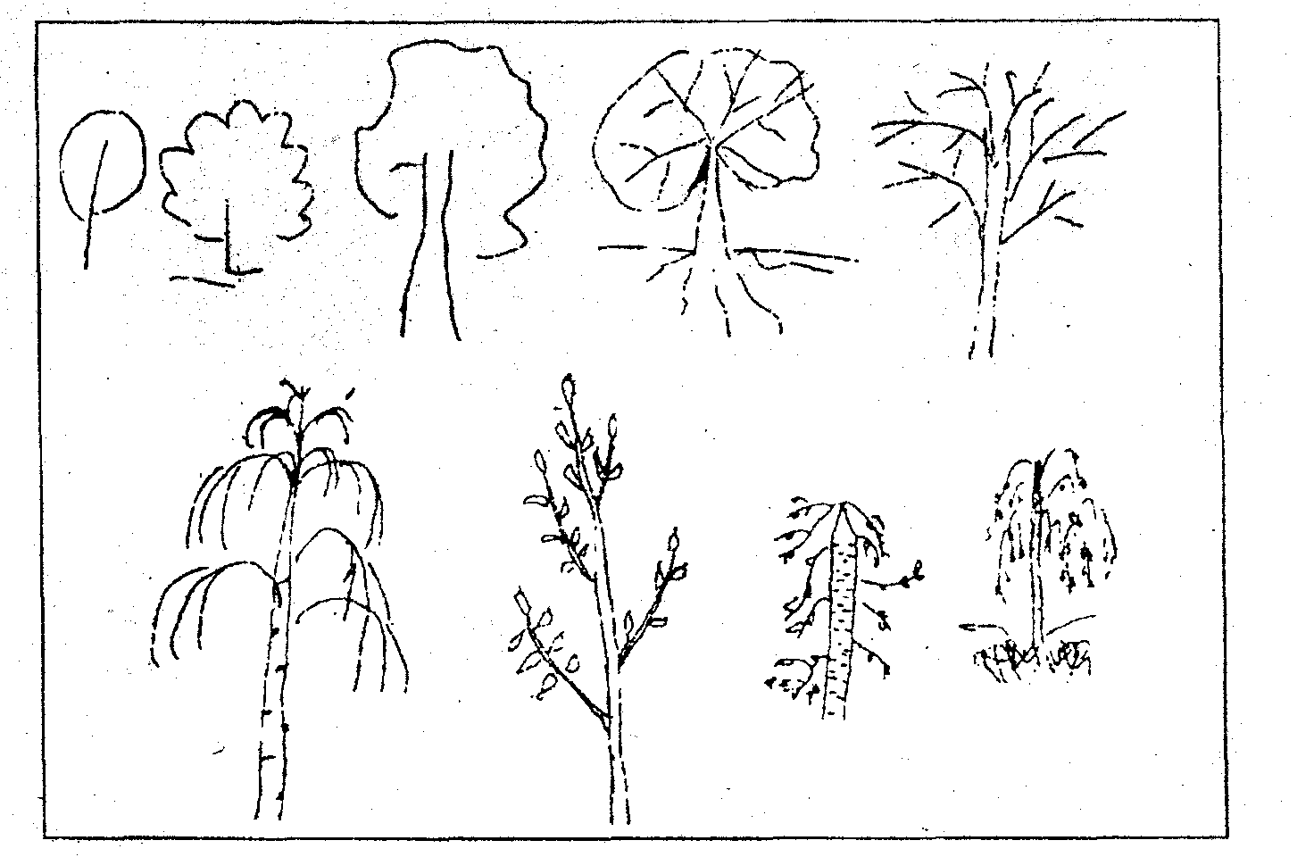 Тест 4 дерева. Методика рисованию дерева. Этапы рисования дерева. Проективные рисуночные тесты. Рисуночный тест дерево для детей.