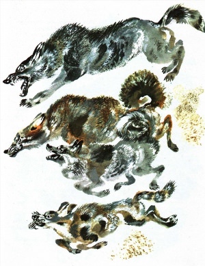Чарушин рисунки животных
