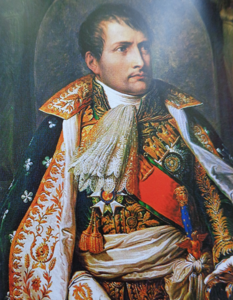 Полководец наполеон бонапарт. Наполеон Бонапарт. Наполеон Бонапарт первый Консул. Наполеон Бонапарт портрет. Наполеон Бонапарт портрет Император.