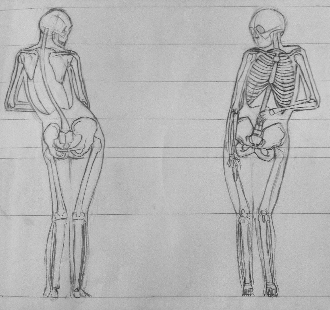 Покажи рисунки тела человека. Анатомия человека для рисования. Строение человека карандашом. Тело человека для срисовывания. Анатомия для художников.