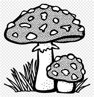 Ядовитые грибы раскраска