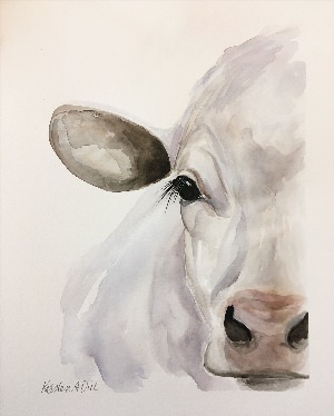 Лицо коровы рисунок