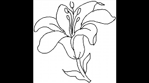 Раскраска аленький цветочек