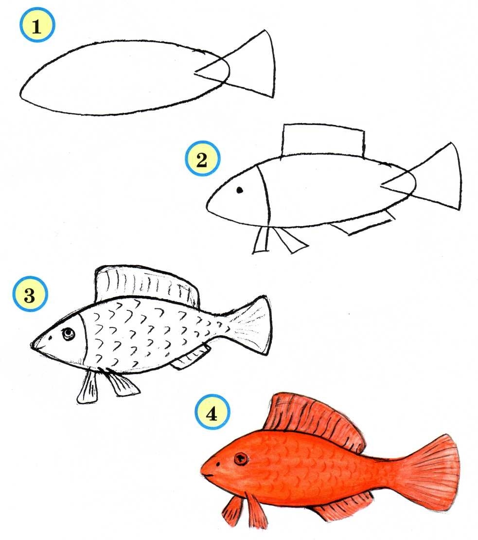 Рыба рисунок для детей простой легкий