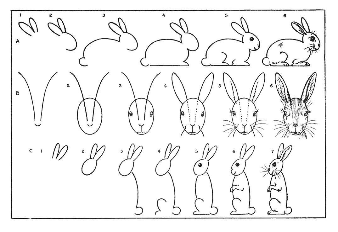 Рисунок заяц для детей 2 класс