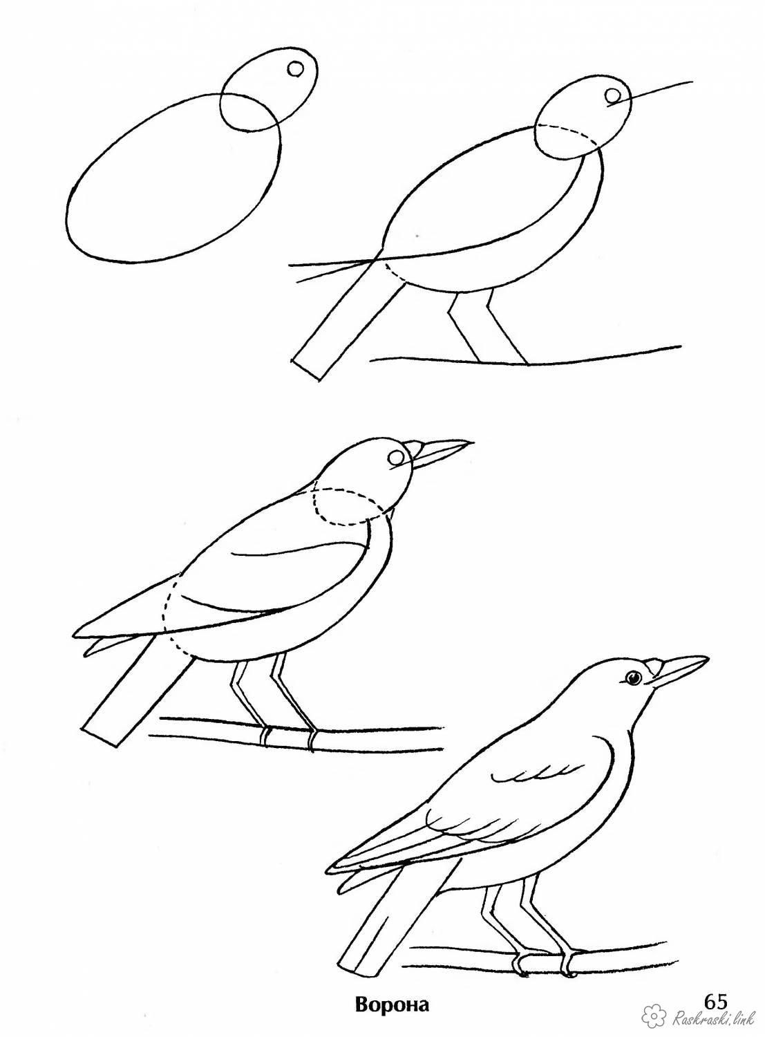 Рисунок грача для детей карандашом