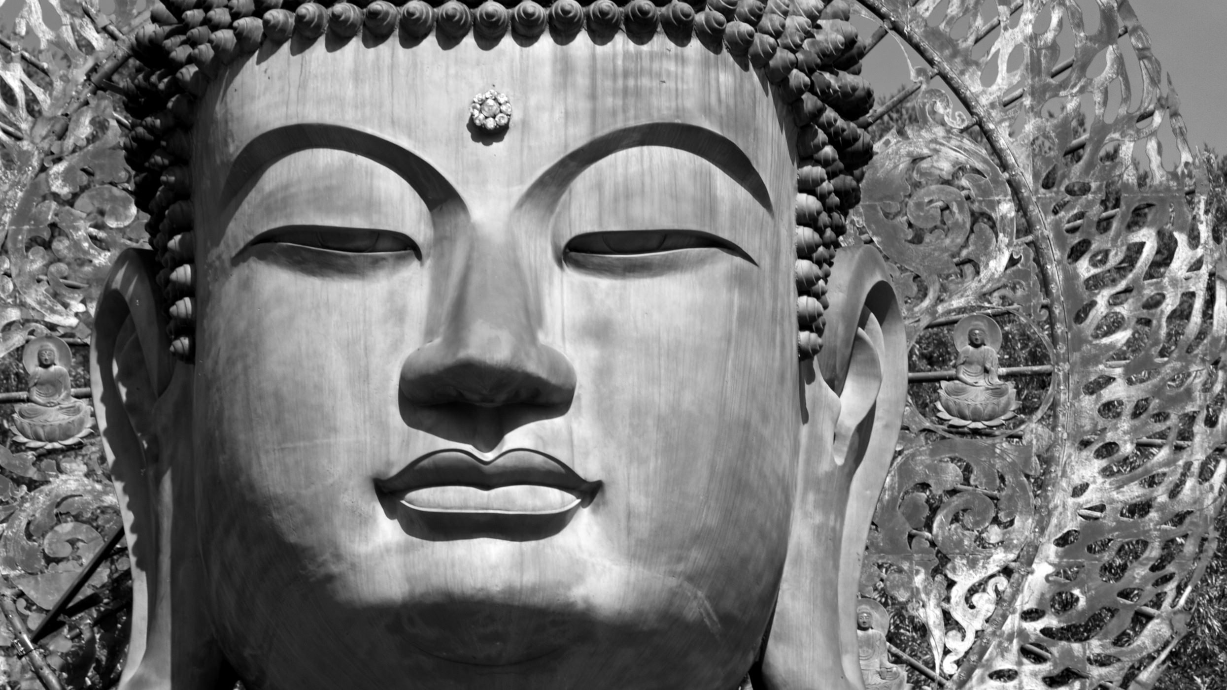 Расы для будды. Будда Шакьямуни голова. Сиддхартха Гаутама. Будда в нирване. Нирвана буддизм.