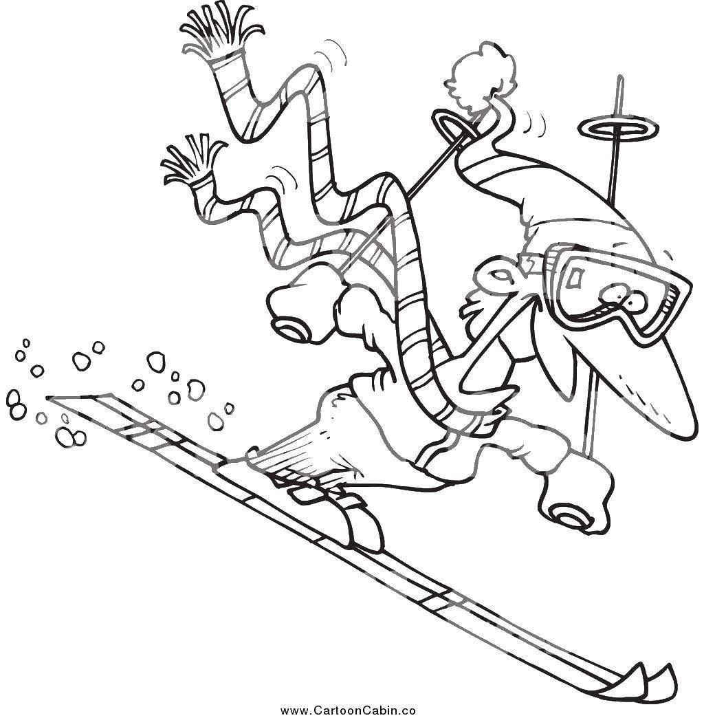 в гамаке и на лыжах