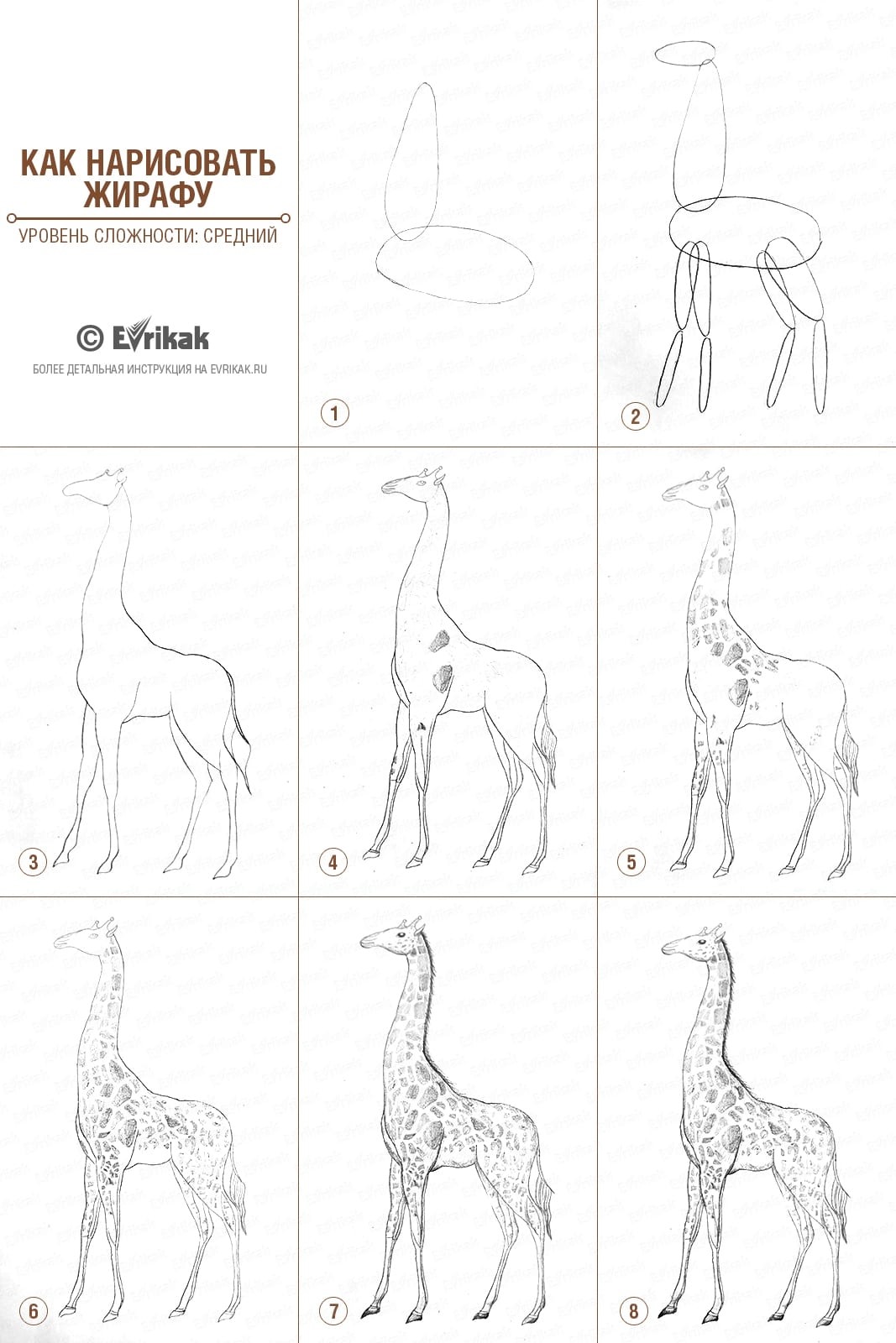 Как нарисовать жирафа поэтапно как нарисовать жирафа поэтапно
