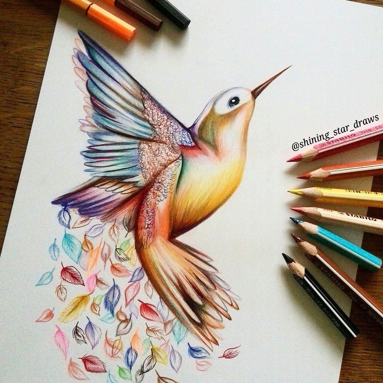 Draw colourful. Колибри скетчинг. Рисунки цветными карандашами. Рисование акварельными карандашами. Красивые рисунки цветными карандашами.