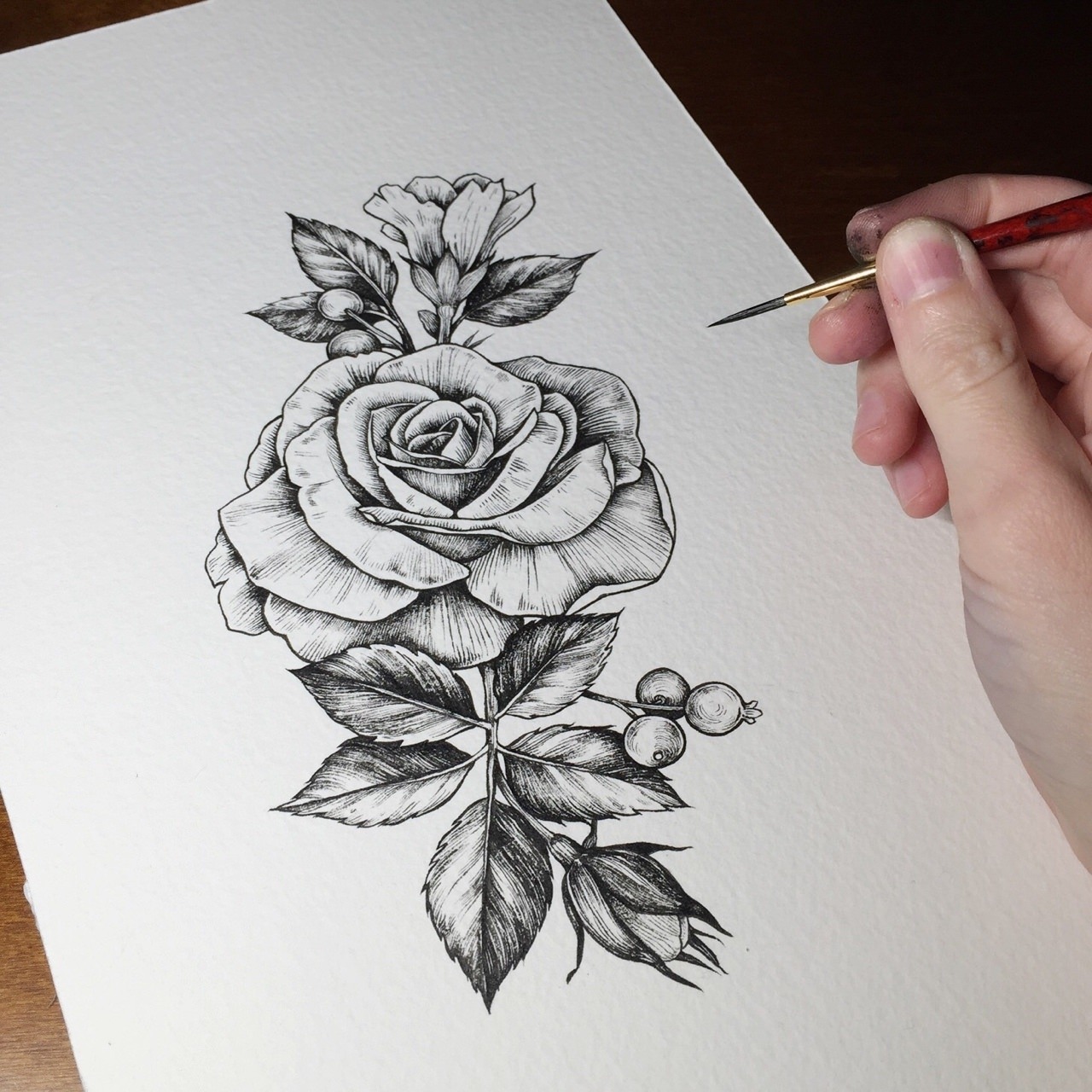 картинки розы ручкой