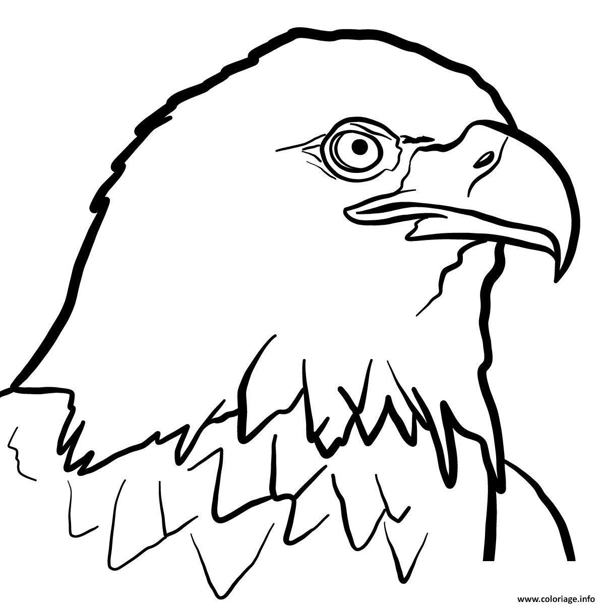 Орел рисунок. Рисунок орла для срисовки. Орел раскраска для детей. Голова орла раскраска.