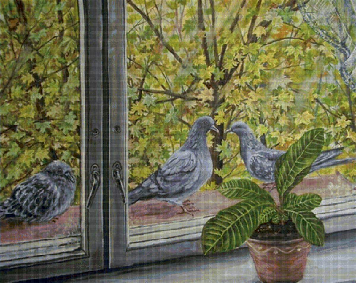 Птицы за окном