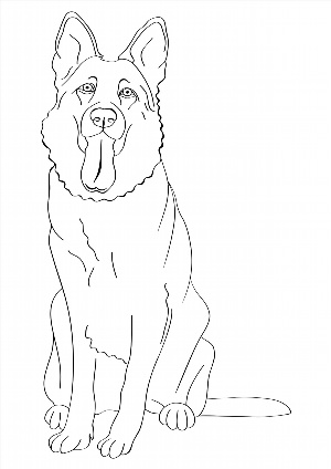 Рисунок сидящей собаки