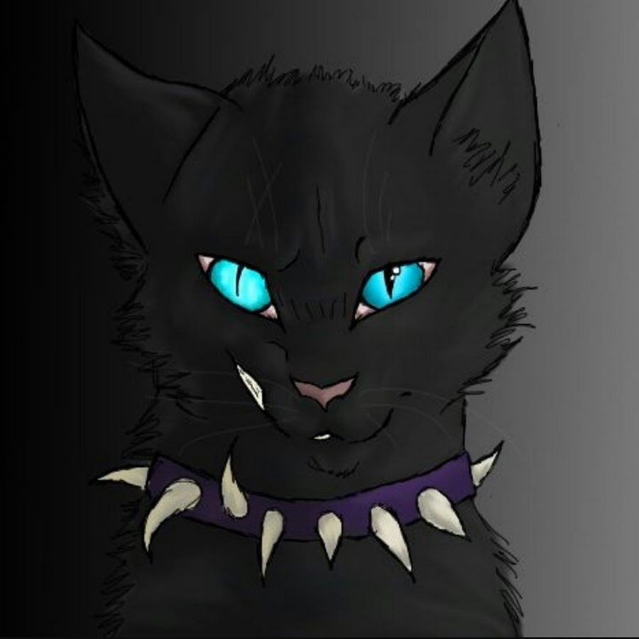 Scourge warrior cats. Коты Воители Бич. Бич коты Воители арт. Кот арт коты Воители Бич. Коты Воители Бич с кровью.