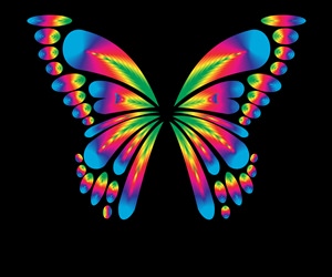 Рисунки бабочек цветные