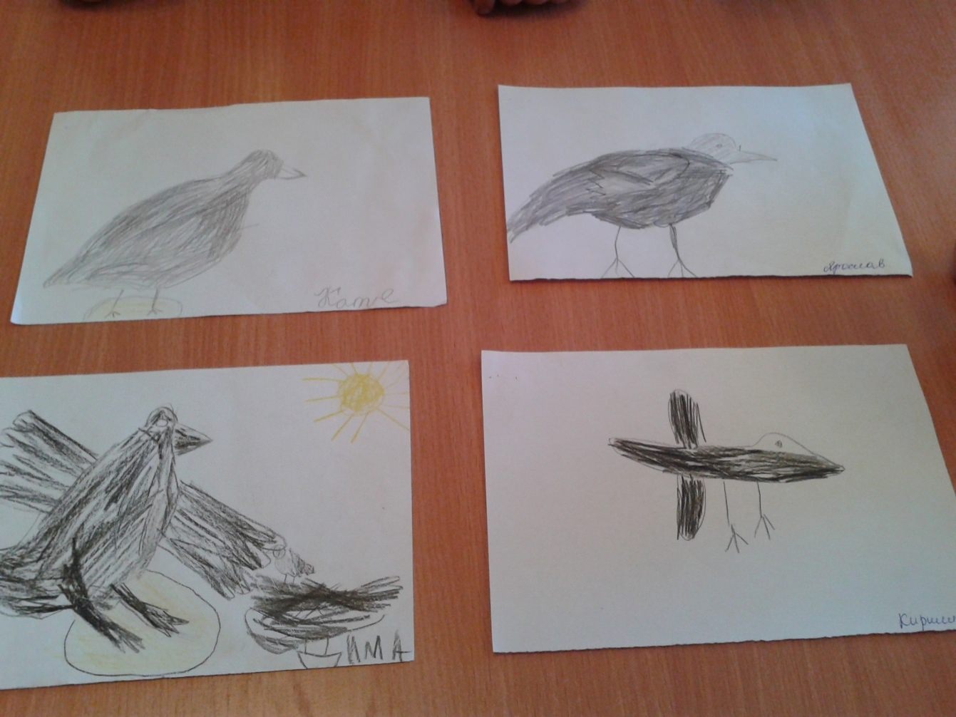 Рисование конспект перелетные птицы