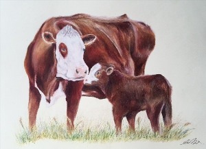 Корова и теленок картинки для детей