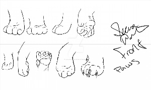 Рисунок кошачьей лапы