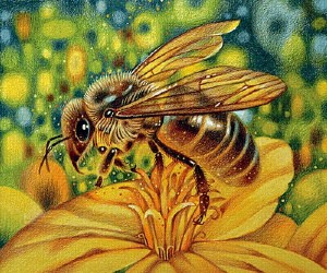 Рисунок пчелы на цветке