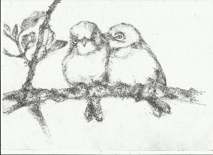 Рисунки для срисовки птицы на ветке
