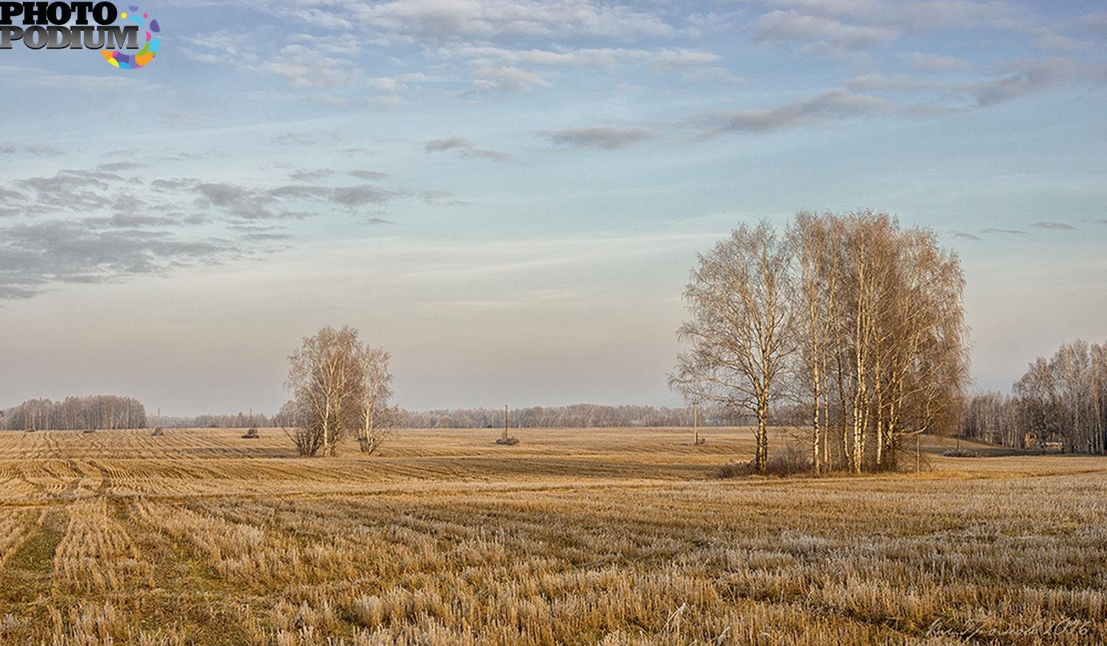 Рощи сжаты. С. Есенина 