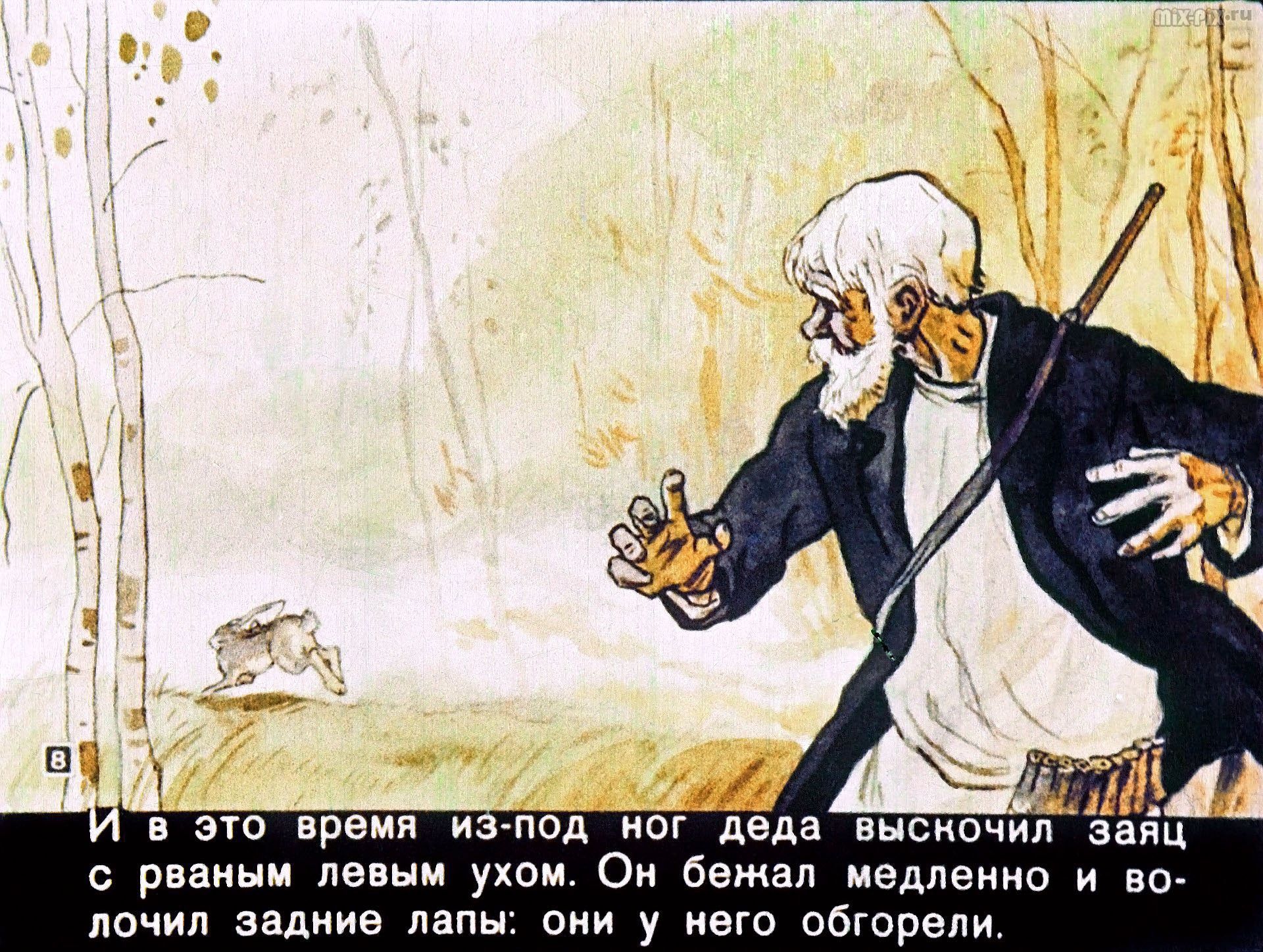 Чему учит рассказ паустовского заячьи лапы. Паустовский заячьи лапы иллюстрации. Заяц Паустовский. К Паустовский дед и заяц.