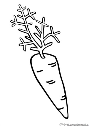 Трафарет морковь