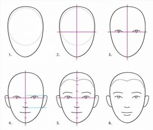 Как нарисовать лицо в анфас