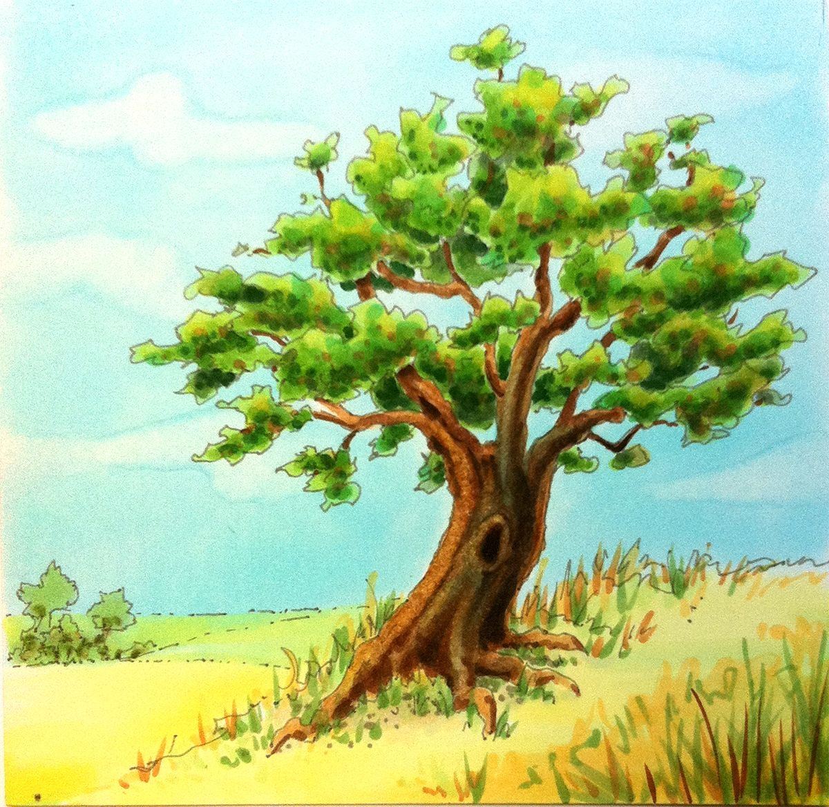 дерево дуб картинки для детей