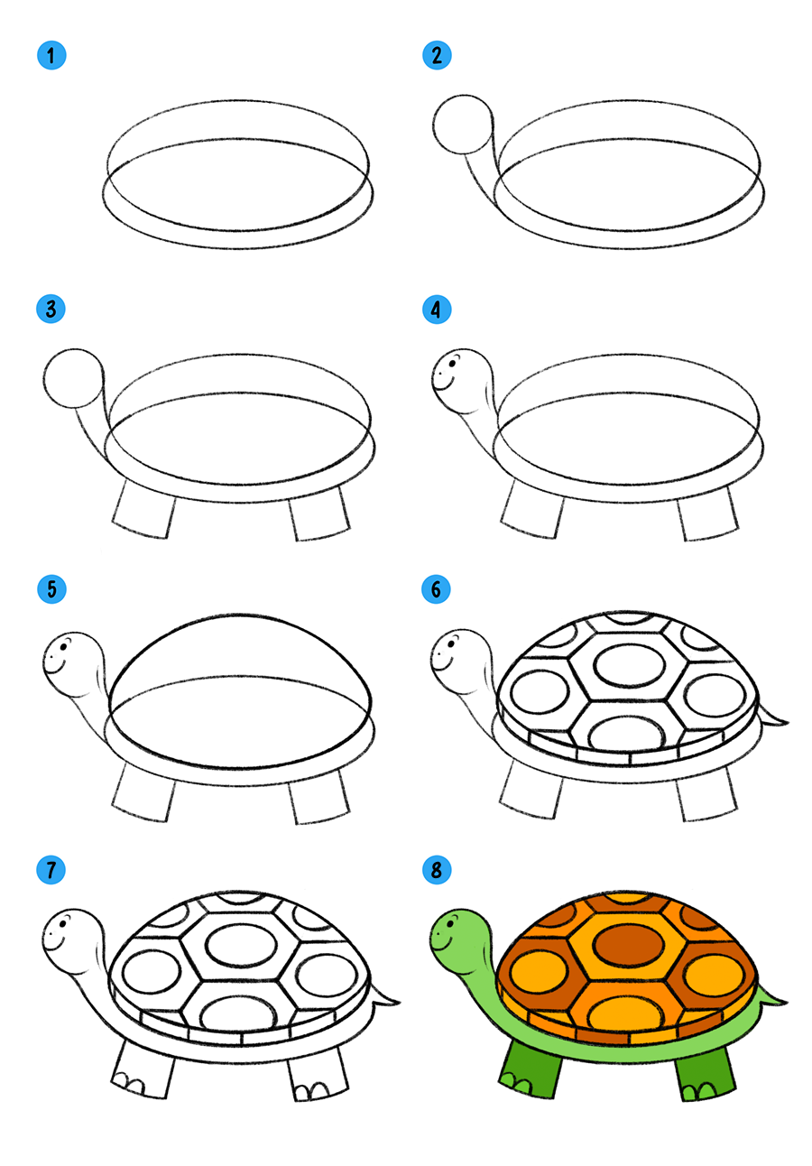 Как нарисовать черепаху по этапно