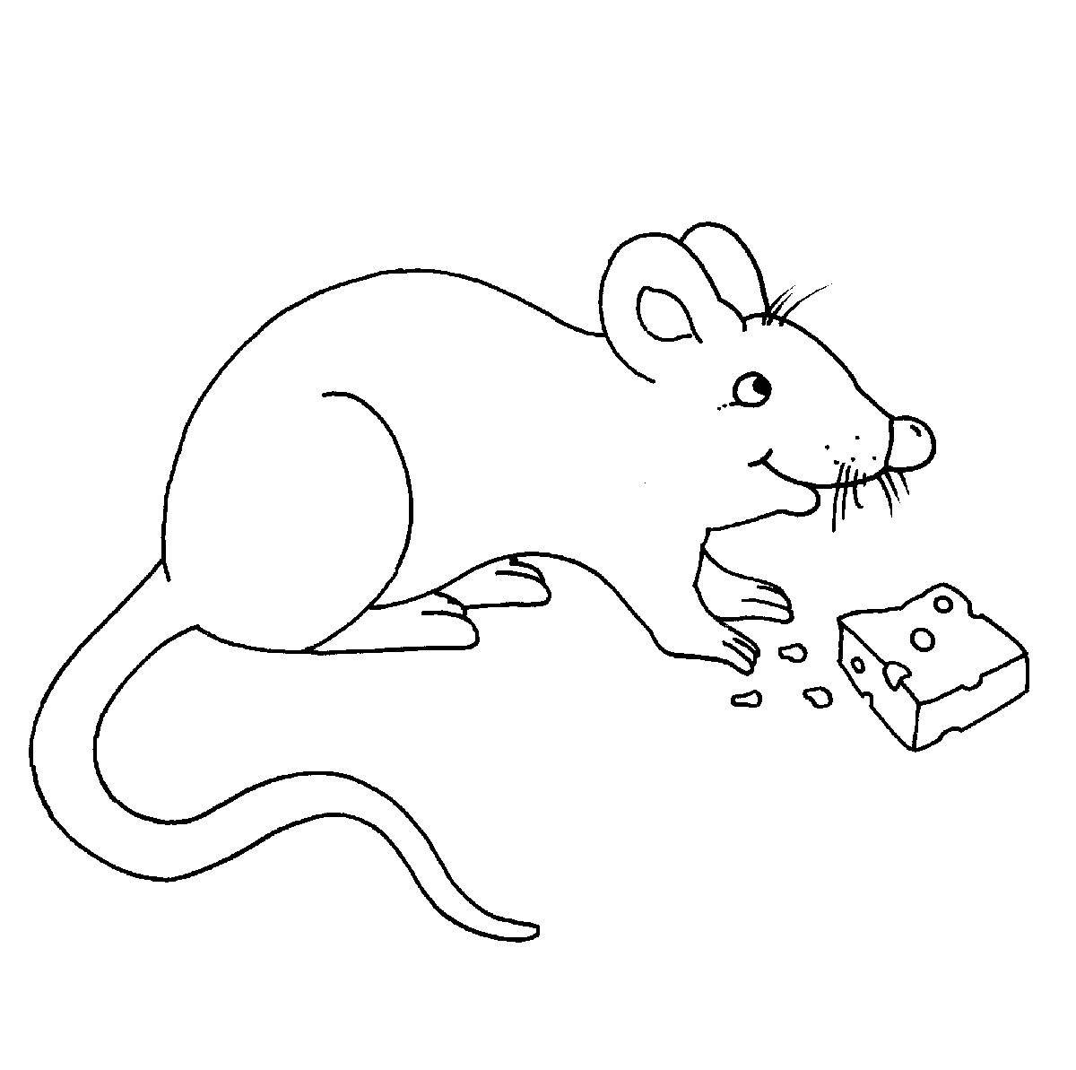 Раскраска мышь распечатать. Мышь раскраска. Раскраска мышонок. Мышь раскраска для детей. Мышка для раскрашивания детям.