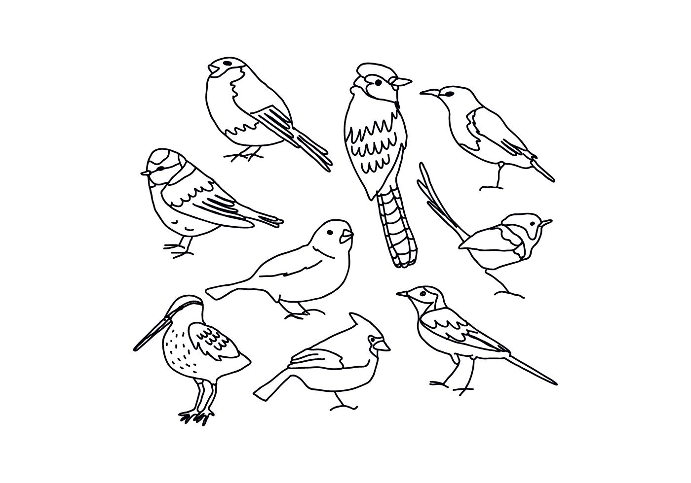 Перелетные птицы картинки для детей распечатать. Зимующие птицы раскраски для детей. Перелетные и зимующие птицы раскраска. Зимующие птицы раскраски для дошкольников. Раскраска зимующие птицы для детей 6-7 лет.