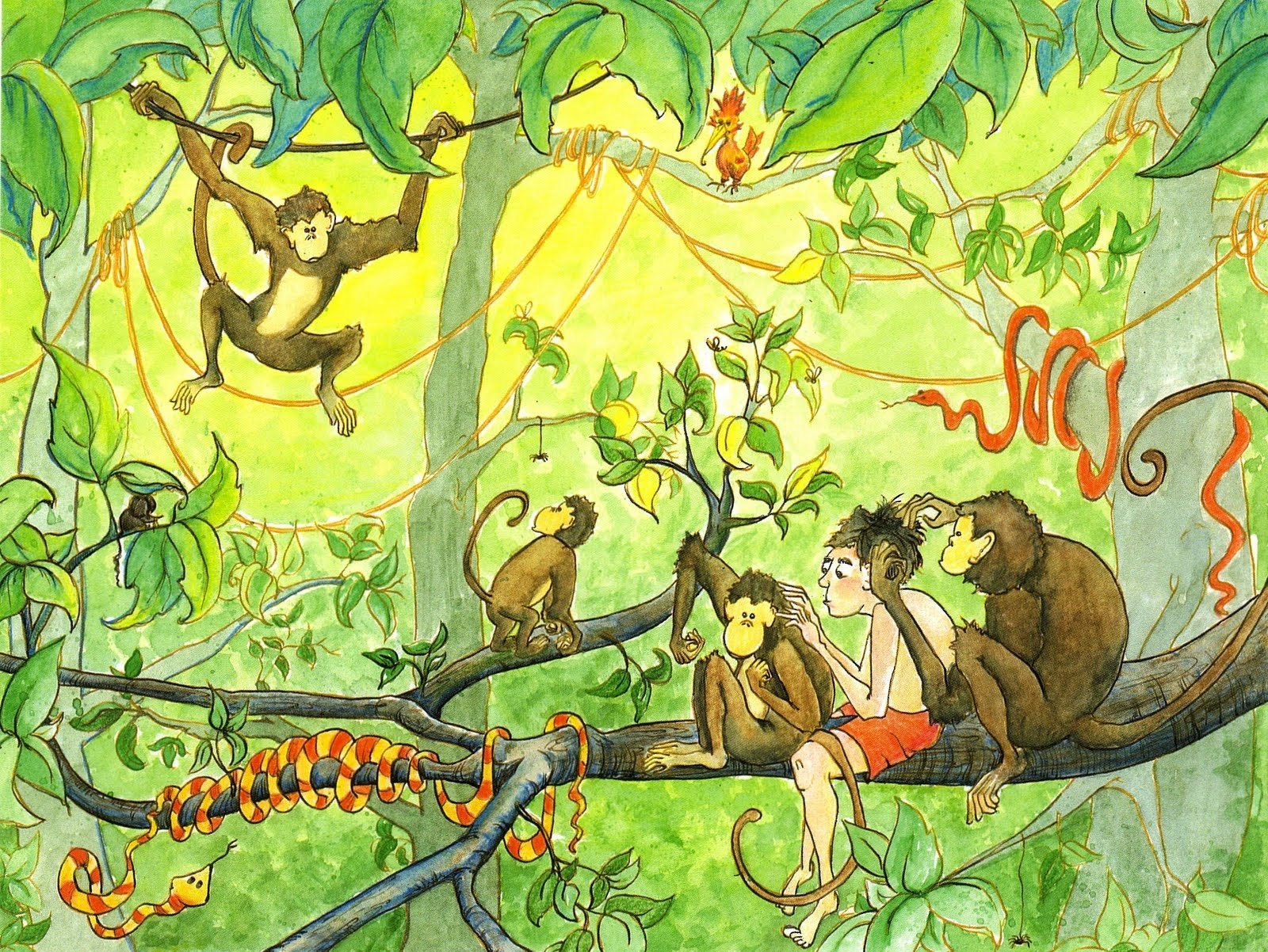 Хлопот мартышке полон рот. Обезьяны в джунглях. Джунгли обезьяны иллюстрации. Джунгли с обезьянами рисовать. Мартышки в джунглях.