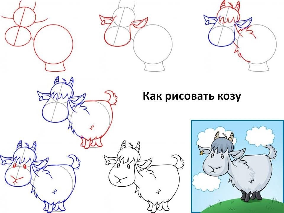 Как легко нарисовать козла