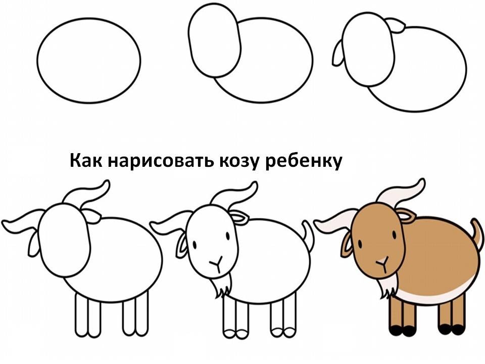 Как нарисовать козу