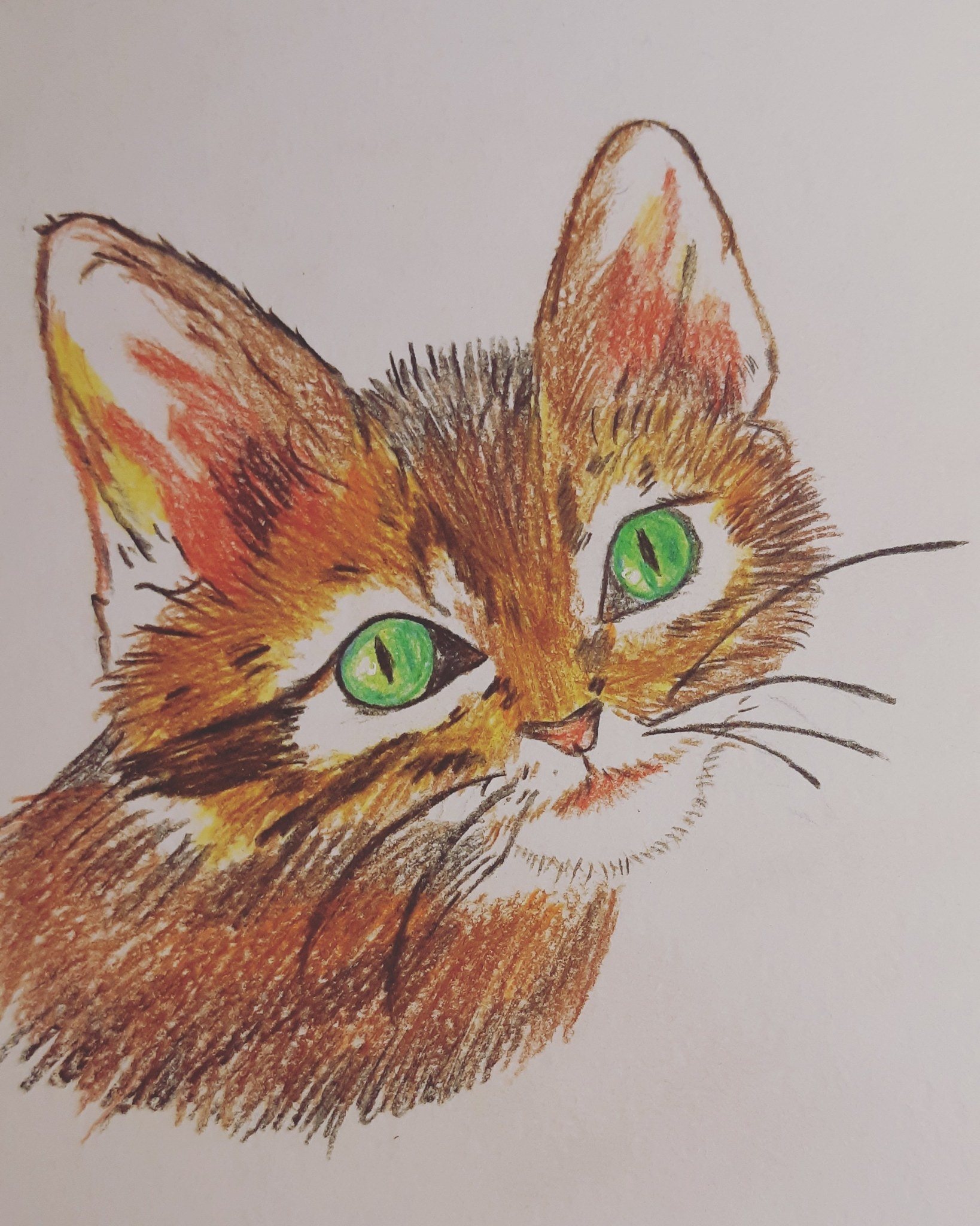 Цветные картинки кошек. Рисование цветными карандашами. Кошка цветными карандашами. Рисование цветными карандашами для детей. Рисование котенка цветными карандашами.