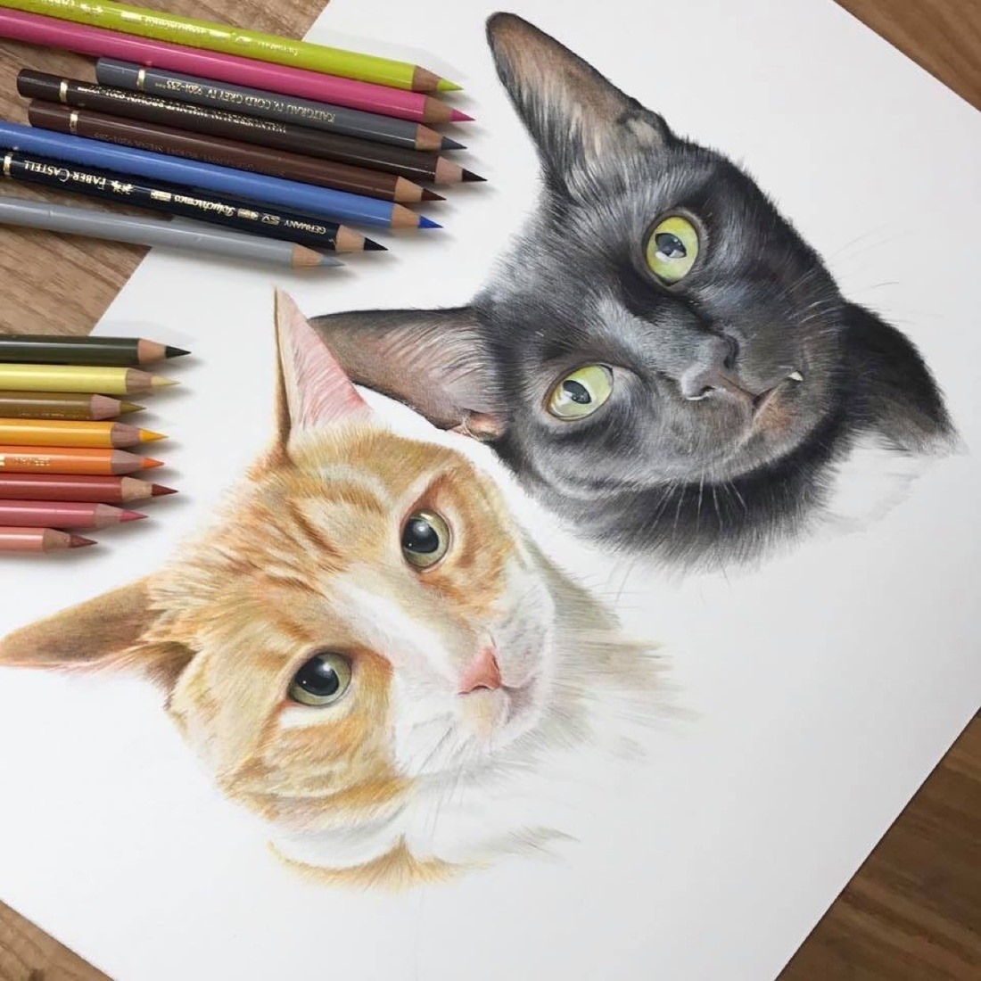 Pencil cats. Кошка цветными карандашами. Карандаши цветные "животные". Профессиональные рисунки цветными карандашами. Кошка рисунок профессиональный.
