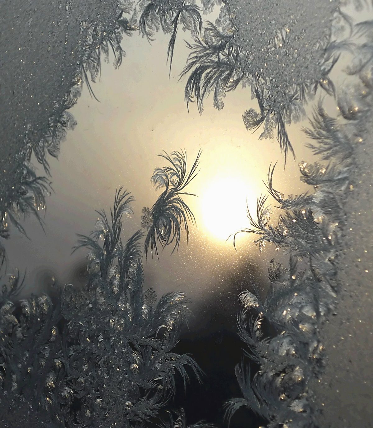 Мороз рисует на стекле узоры. Морозные узоры на окне. Морозные узоры на стекле. Морозное окно. Красивые узоры на стекле.