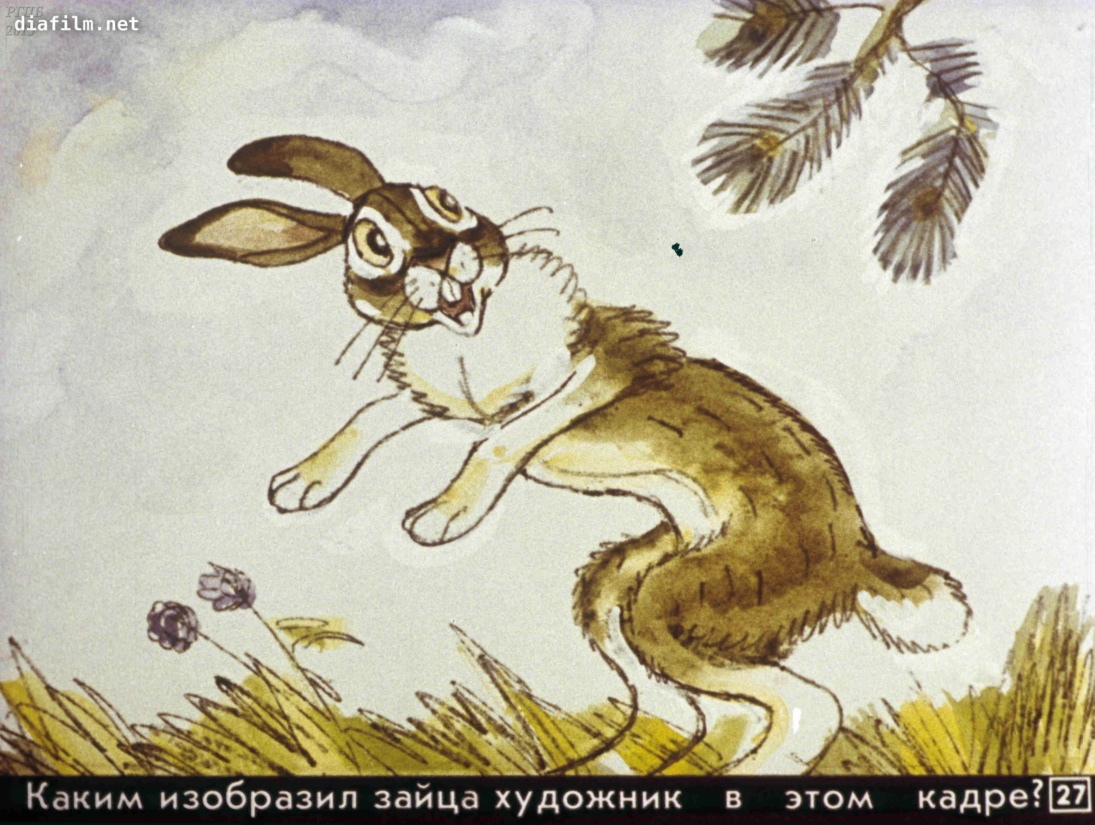 У зайца хвост короткий а уши. Мамин-Сибиряк заяц-хвастун. Храбрый заяц мамин Сибиряк. Мамин Сибиряк заяц трусишка\. Заяц из сказки мамин Сибиряк.