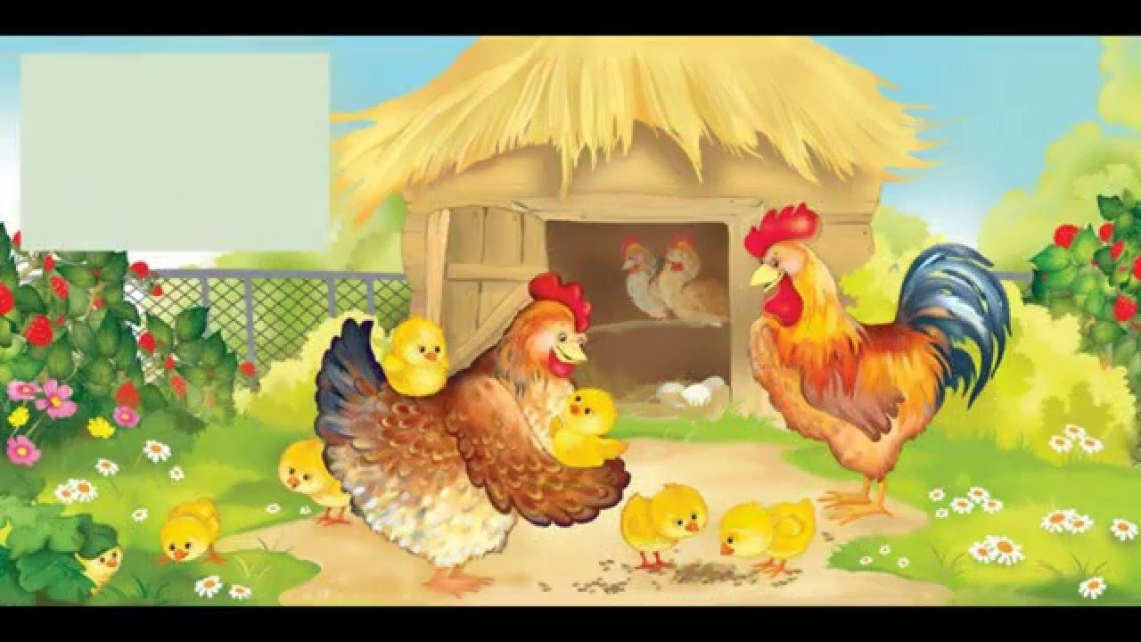Дом домашние птицы. Курочка с цыплятами. Курица с цыплятами для детей. Птичий двор в детском саду. Петух курица цыпленок.