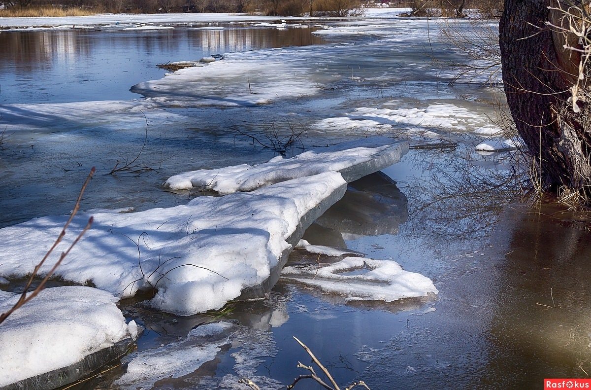 Фото ручейки весной