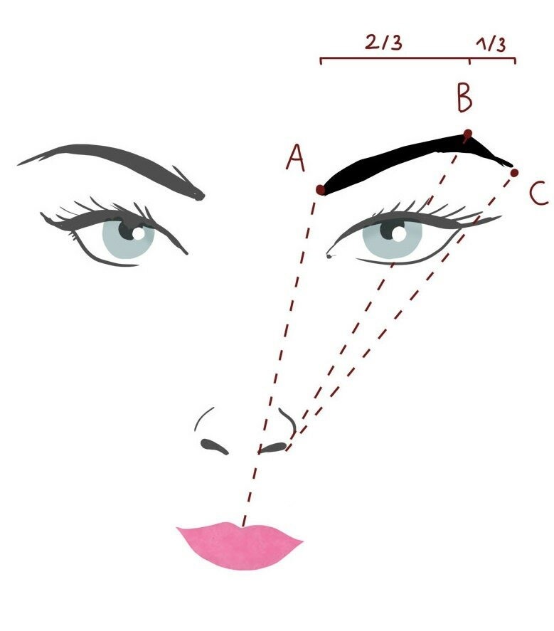 Форма бровей как правильно нарисовать