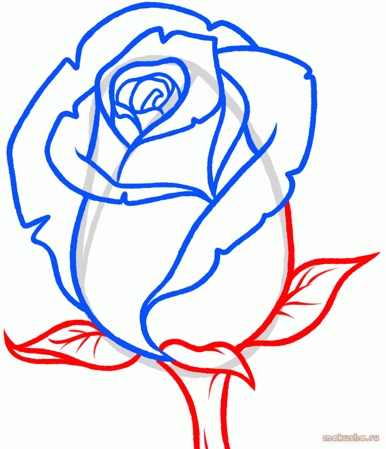 Покажи как нарисовать розу. Роза срисовать. Рисунок розы для срисовки. Рисунки для срисовки лёгкие розы. Картинки розы для срисовки.